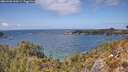./images/calvert/foggy-cove/20260428/foggy-cove20260428_142002M.jpg