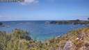 ./images/calvert/foggy-cove/20260428/foggy-cove20260428_142502M.jpg