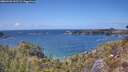 ./images/calvert/foggy-cove/20260428/foggy-cove20260428_143501M.jpg