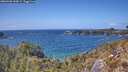 ./images/calvert/foggy-cove/20260428/foggy-cove20260428_144501M.jpg