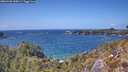 ./images/calvert/foggy-cove/20260428/foggy-cove20260428_145001M.jpg