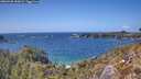 ./images/calvert/foggy-cove/20260428/foggy-cove20260428_150001M.jpg