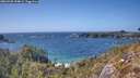 ./images/calvert/foggy-cove/20260428/foggy-cove20260428_154002M.jpg
