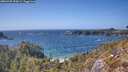 ./images/calvert/foggy-cove/20260428/foggy-cove20260428_154501M.jpg