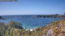 ./images/calvert/foggy-cove/20260428/foggy-cove20260428_155002M.jpg