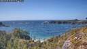 ./images/calvert/foggy-cove/20260428/foggy-cove20260428_155501M.jpg