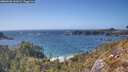./images/calvert/foggy-cove/20260428/foggy-cove20260428_161001M.jpg