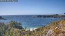 ./images/calvert/foggy-cove/20260428/foggy-cove20260428_162002M.jpg