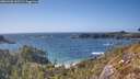./images/calvert/foggy-cove/20260428/foggy-cove20260428_162501M.jpg