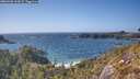 ./images/calvert/foggy-cove/20260428/foggy-cove20260428_163001M.jpg