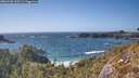 ./images/calvert/foggy-cove/20260428/foggy-cove20260428_163501M.jpg