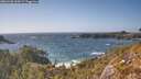 ./images/calvert/foggy-cove/20260428/foggy-cove20260428_164501M.jpg