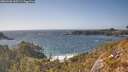 ./images/calvert/foggy-cove/20260428/foggy-cove20260428_165501M.jpg