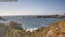 ./images/calvert/foggy-cove/20260428/foggy-cove20260428_171501M.jpg