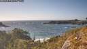 ./images/calvert/foggy-cove/20260428/foggy-cove20260428_173001M.jpg