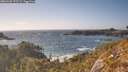 ./images/calvert/foggy-cove/20260428/foggy-cove20260428_173501M.jpg