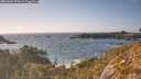 ./images/calvert/foggy-cove/20260428/foggy-cove20260428_174501M.jpg
