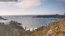./images/calvert/foggy-cove/20260428/foggy-cove20260428_181001M.jpg