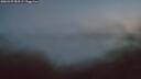 ./images/calvert/foggy-cove/20260429/foggy-cove20260429_053501M.jpg