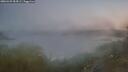 ./images/calvert/foggy-cove/20260429/foggy-cove20260429_054501M.jpg