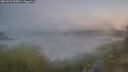 ./images/calvert/foggy-cove/20260429/foggy-cove20260429_055001M.jpg