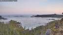 ./images/calvert/foggy-cove/20260429/foggy-cove20260429_061501M.jpg