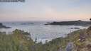 ./images/calvert/foggy-cove/20260429/foggy-cove20260429_062502M.jpg