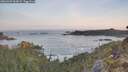 ./images/calvert/foggy-cove/20260429/foggy-cove20260429_063001M.jpg