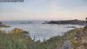 ./images/calvert/foggy-cove/20260429/foggy-cove20260429_063502M.jpg