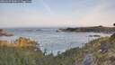 ./images/calvert/foggy-cove/20260429/foggy-cove20260429_065001M.jpg