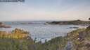 ./images/calvert/foggy-cove/20260429/foggy-cove20260429_070501M.jpg
