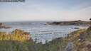./images/calvert/foggy-cove/20260429/foggy-cove20260429_072001M.jpg