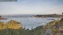 ./images/calvert/foggy-cove/20260429/foggy-cove20260429_073502M.jpg