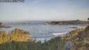 ./images/calvert/foggy-cove/20260429/foggy-cove20260429_074001M.jpg
