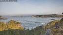 ./images/calvert/foggy-cove/20260429/foggy-cove20260429_074501M.jpg