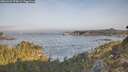 ./images/calvert/foggy-cove/20260429/foggy-cove20260429_075001M.jpg