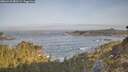 ./images/calvert/foggy-cove/20260429/foggy-cove20260429_080502M.jpg