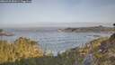 ./images/calvert/foggy-cove/20260429/foggy-cove20260429_081001M.jpg