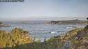 ./images/calvert/foggy-cove/20260429/foggy-cove20260429_081501M.jpg