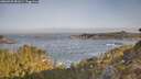 ./images/calvert/foggy-cove/20260429/foggy-cove20260429_082001M.jpg