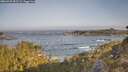./images/calvert/foggy-cove/20260429/foggy-cove20260429_082501M.jpg