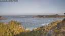 ./images/calvert/foggy-cove/20260429/foggy-cove20260429_083001M.jpg