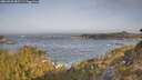 ./images/calvert/foggy-cove/20260429/foggy-cove20260429_083501M.jpg