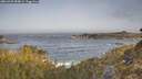 ./images/calvert/foggy-cove/20260429/foggy-cove20260429_084001M.jpg