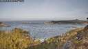 ./images/calvert/foggy-cove/20260429/foggy-cove20260429_084501M.jpg