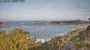 ./images/calvert/foggy-cove/20260429/foggy-cove20260429_085001M.jpg