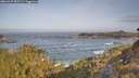 ./images/calvert/foggy-cove/20260429/foggy-cove20260429_085501M.jpg