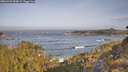 ./images/calvert/foggy-cove/20260429/foggy-cove20260429_090001M.jpg
