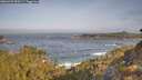 ./images/calvert/foggy-cove/20260429/foggy-cove20260429_090501M.jpg