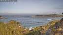 ./images/calvert/foggy-cove/20260429/foggy-cove20260429_091001M.jpg